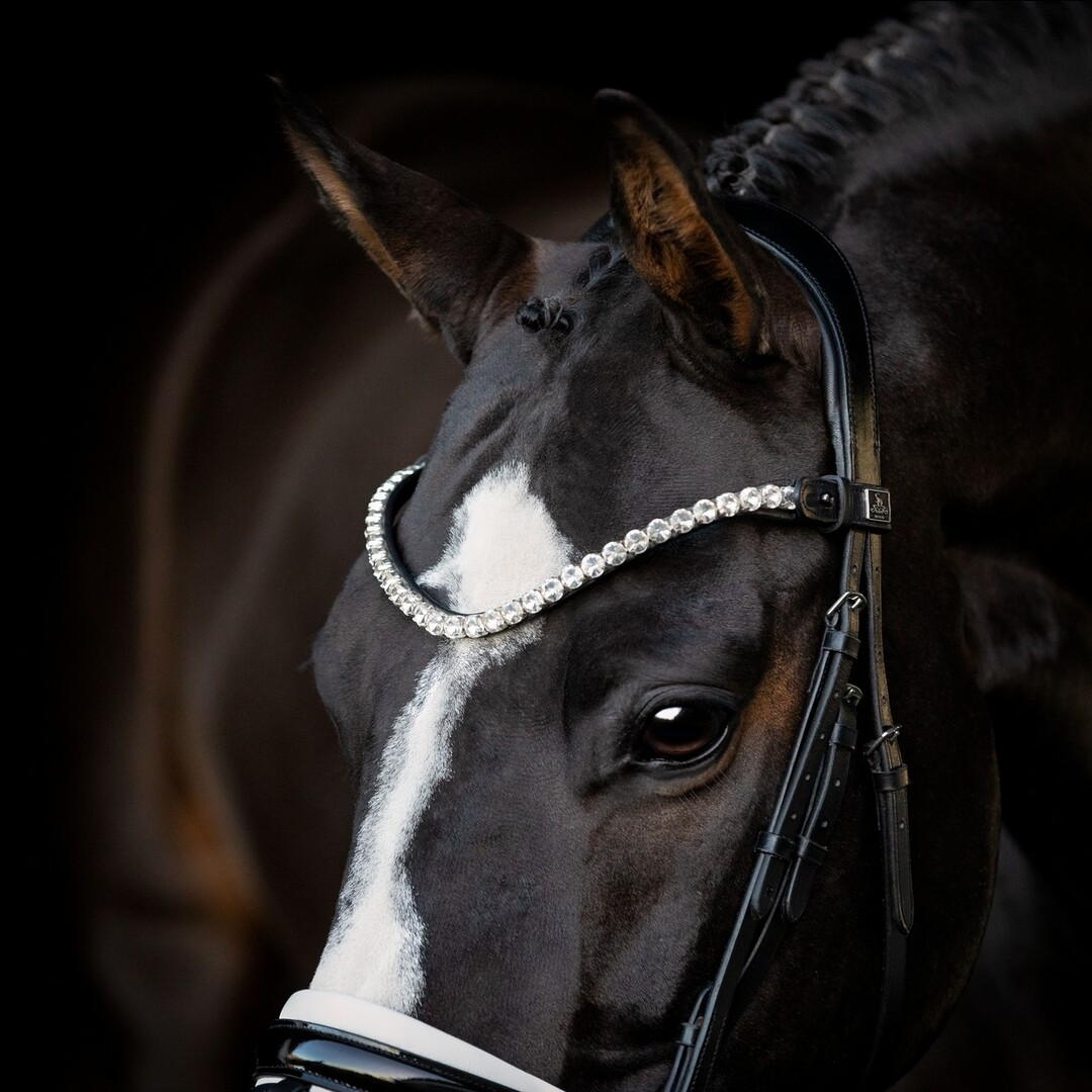 SD browband l Unique