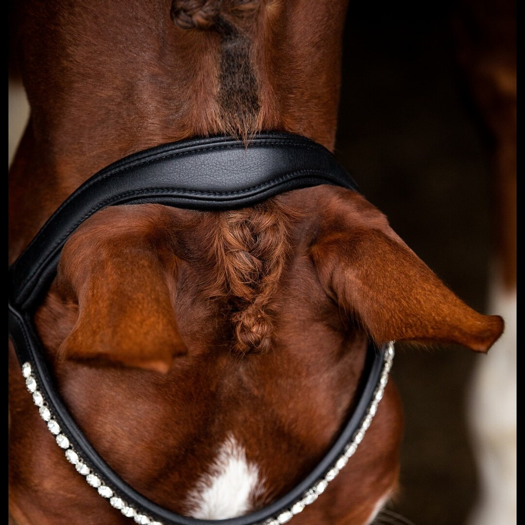 Neckstrap anatomic narrow